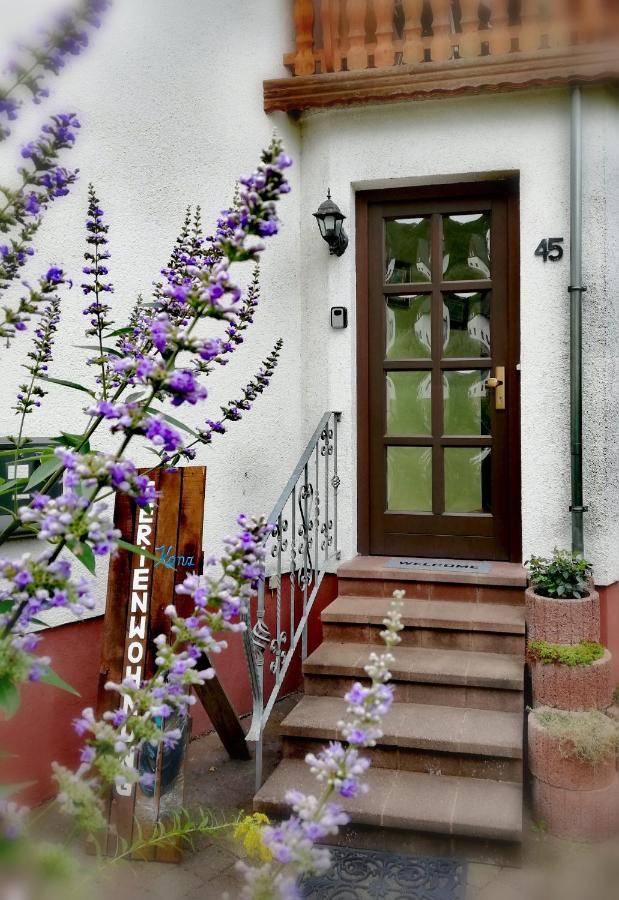 Ferienwohnung Konz 梅尔齐 外观 照片